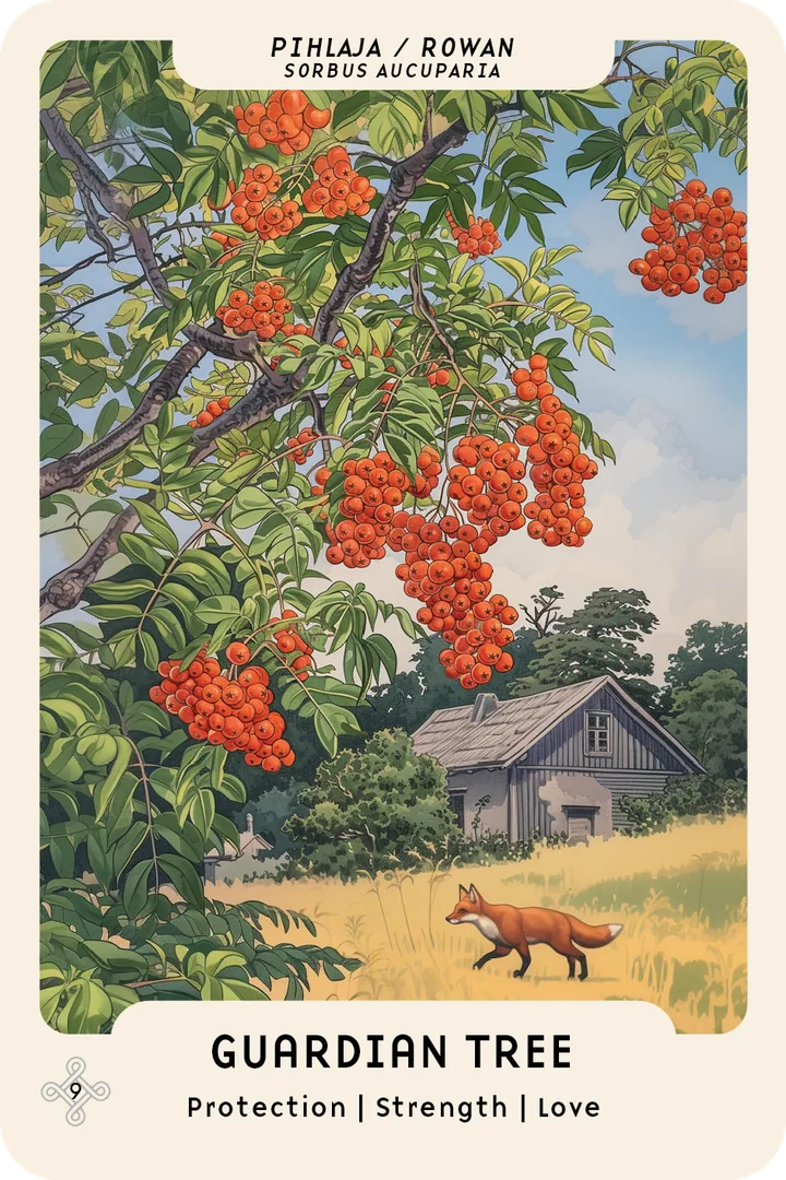 Rowan oracle card: a rowan tree heavy with red berries, a gray farmhouse and a fox in the field
